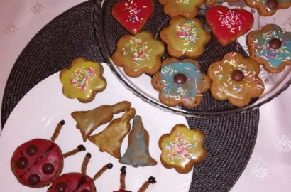 Alicja Zalewska - Biedronki